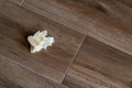 Bread tossed to the floor. Half Eaten Sandwich thrown on the floor. Discarded Sandwich. Thrown into the trash food. Concept Royalty Free Stock Photo