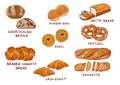 Various Kind of Bread Drawing