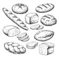 Bread vector drawing. Bakery product sketch. Vintage food Royalty Free Stock Photo