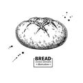 Bread vector drawing. Bakery product sketch. Vintage food