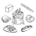 Bread, vector hand-drawn illustration of a set in graphic style.From different varieties of wheat, fresh bread, rolls, French