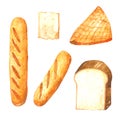 Bread watercolor collection on white background Hand drawn painting