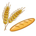 Bread and wheat