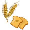 Bread and wheat