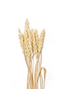 Bread, wheat ears white background