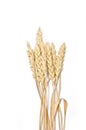 Bread, wheat ears white background Royalty Free Stock Photo