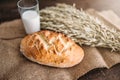 Bread, wheat and glass of milk, burlap background Royalty Free Stock Photo