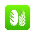 Bread wheat icon green vector