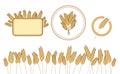 Bread wheat logo and design elements. Wholegrain organic harvest. Vector illustration