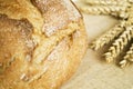 Bread and wheat macro shot