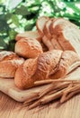 Bread and whole wheat Royalty Free Stock Photo