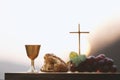 The bread and wine of communion, the chalice and the cross of Jesus Royalty Free Stock Photo