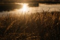 the breadbasket in the golden light of the setting sun