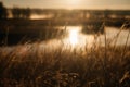 the breadbasket in the golden light of the setting sun