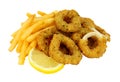 Breadcrumb Covered Calamari And French Fries