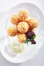 Breaded Cheese Balls with Mozzarella, Cottage Cheese and Tartar Sauce