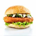 Breaded chicken burger with fresh salad Royalty Free Stock Photo