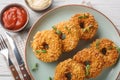 Breaded chicken donuts made from pulled chicken with vegetables and deep fried close-up on a plate. Horizontal top view Royalty Free Stock Photo