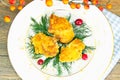 Breaded Chicken Fillet with Herbs and Cranberries Royalty Free Stock Photo