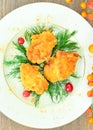 Breaded Chicken Fillet with Herbs and Cranberries Royalty Free Stock Photo