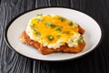 Breaded chicken Parmo baked with bechamel sauce and cheddar cheese close-up in a plate. horizontal