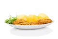 Breaded chicken, potato, salad isolated on white Royalty Free Stock Photo