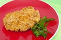 Breaded cutlets Royalty Free Stock Photo