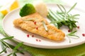 Breaded fish fillet with vegetables Royalty Free Stock Photo