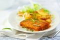 Breaded fish fillet wih baked potatoes Royalty Free Stock Photo