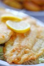 Breaded and fried catfish fillets Royalty Free Stock Photo