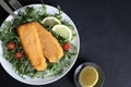 Breaded and fried fish fillets with salad and lemon. Royalty Free Stock Photo