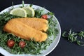 Breaded and fried fish fillets with salad and lemon. Royalty Free Stock Photo