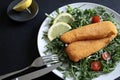 Breaded and fried fish fillets with salad and lemon. Royalty Free Stock Photo