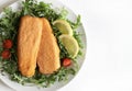 Breaded and fried fish fillets with salad and lemon. Royalty Free Stock Photo