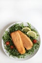 Breaded and fried fish fillets with salad and lemon. Royalty Free Stock Photo