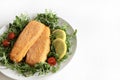 Breaded and fried fish fillets with salad and lemon. Royalty Free Stock Photo