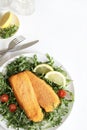 Breaded and fried fish fillets with salad and lemon. Royalty Free Stock Photo