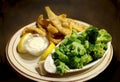 Breaded, fried fish with a side of steamed broccoli Royalty Free Stock Photo