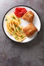 Breaded spanish steak Cachopo served with french fries close-up in a plate. vertical top view Royalty Free Stock Photo