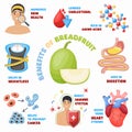 Breadfruit health benefits, icons set. Superfood rich of aminoacids for wellness. Healthy eating, vector illustration