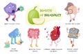 Breadfruit health benefits, medical infographic. Vector illustration