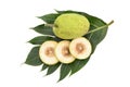 Breadfruit tree or  Artocarpus altilis fruits and green leaf isolated on white background with clipping path.top view,flat lay Royalty Free Stock Photo