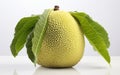 Breadfruit White Background -Generative Ai Royalty Free Stock Photo