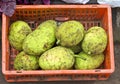 Breadfruits in red plastic box , asian market, India