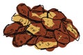 Breading colored, illustration, vector