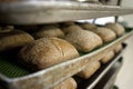 Breads on the bakery oven Royalty Free Stock Photo