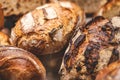 Breads on a showcase in a French bakery Royalty Free Stock Photo