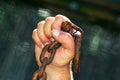 Break chains Royalty Free Stock Photo
