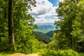 A Gap Through the Tall Trees Reveals the Great Smoky Mountains of North Carolina Royalty Free Stock Photo