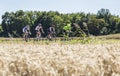 The Breakaway in the Plain - Tour de France 2016 Royalty Free Stock Photo